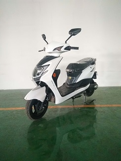 立马牌LM1000DQT-3电动两轮轻便摩托车图片