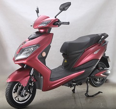 立马牌LM1000DQT-7电动两轮轻便摩托车公告图片