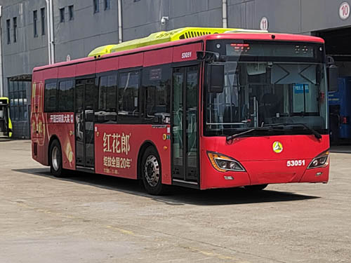 常隆牌YS6101GBEVN1纯电动城市客车图片