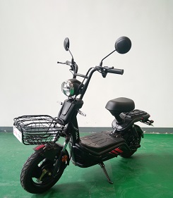 LM500DQT-2 立马牌纯电动前鼓式后鼓式电动两轮轻便摩托车图片