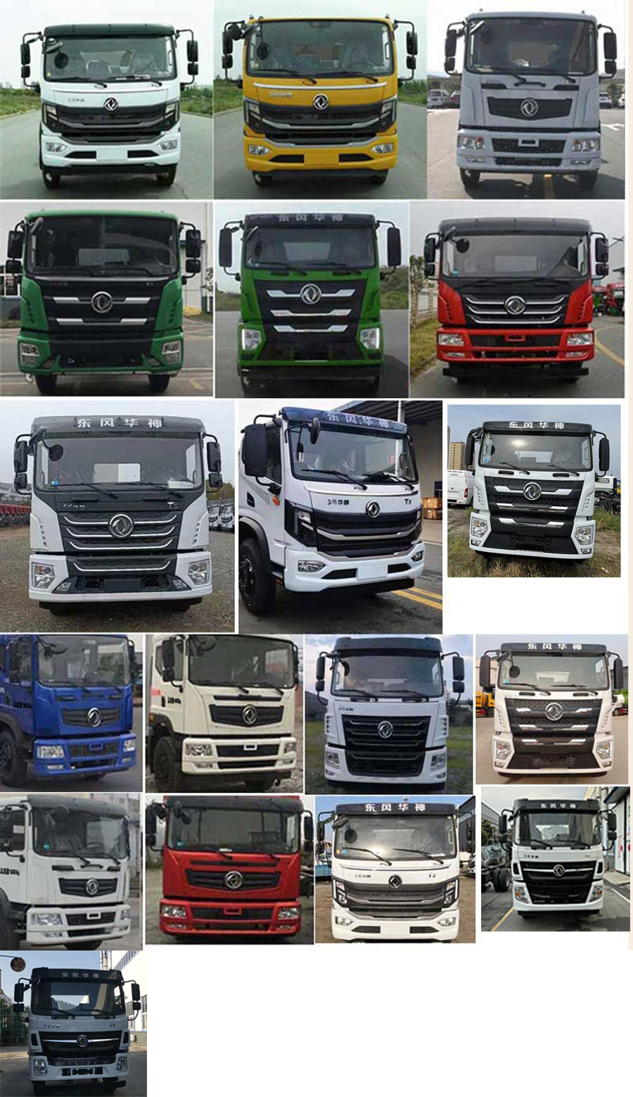 程力威牌CLW5161GPSEDP綠化噴灑車公告圖片