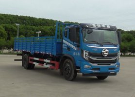 华神牌DFD5126XLHL6D教练车