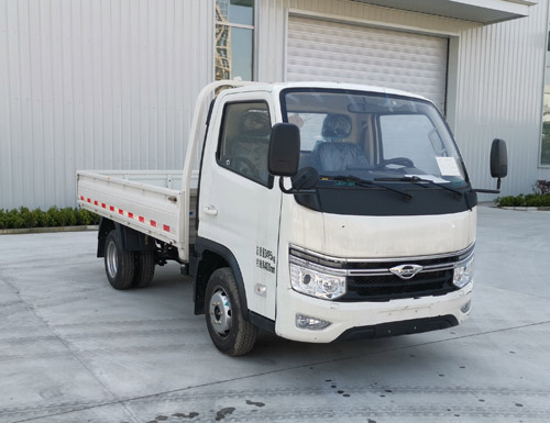 福田牌 136马力 载货汽车(BJ1035V3JV6-08)