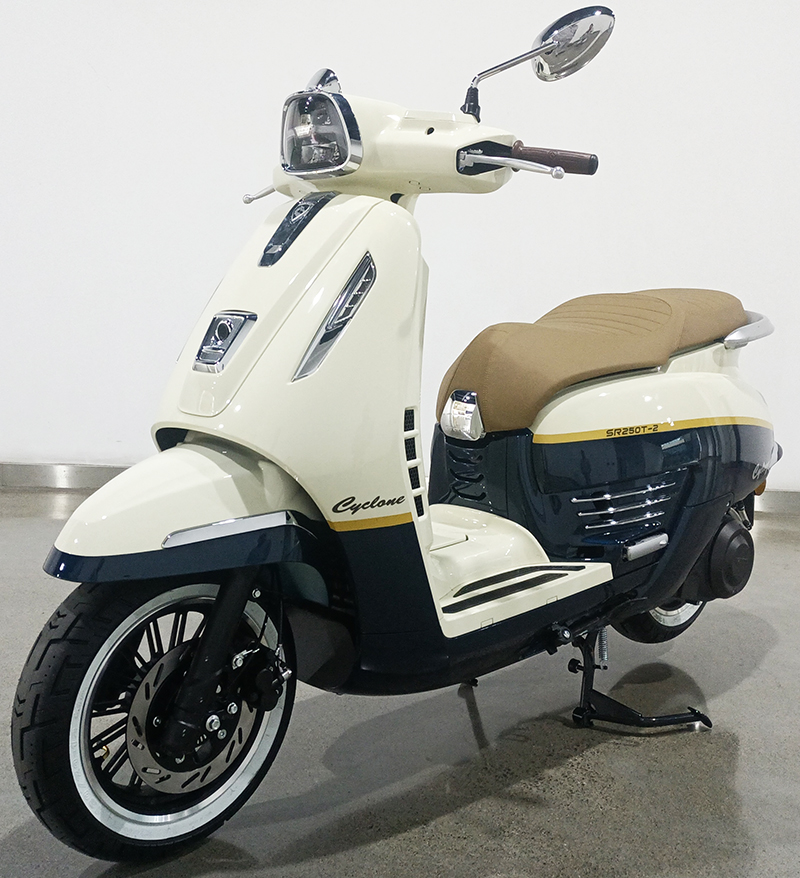 赛科龙牌SR250T-2两轮摩托车公告图片