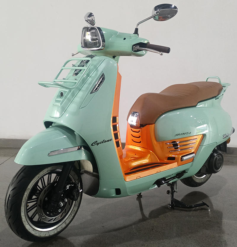 赛科龙牌SR250T-2两轮摩托车公告图片
