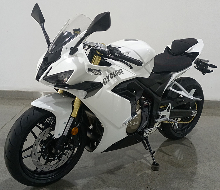 赛科龙牌SR600GS两轮摩托车公告图片