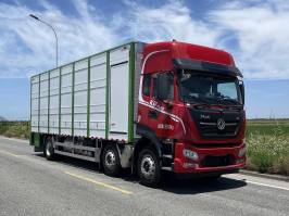 神鹰牌YG5250XCQE3C雏禽运输车