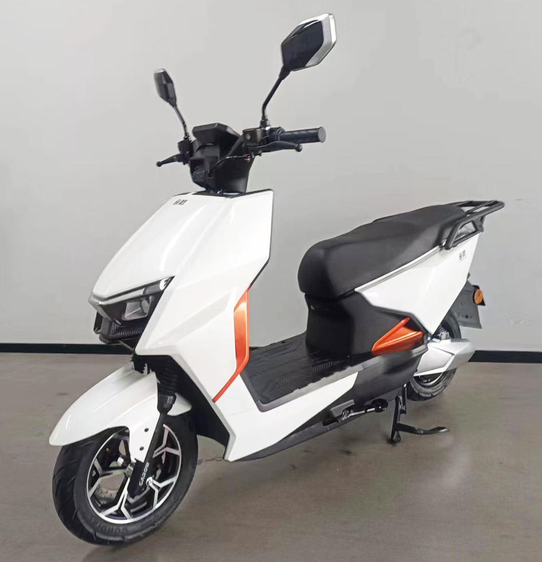 金箭牌JJ1200DT-74电动两轮摩托车公告图片