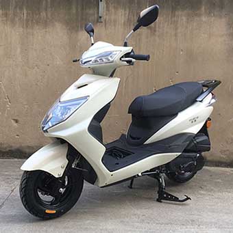 FT125T-4F 富通牌125CC汽油前盘式后鼓式两轮摩托车图片