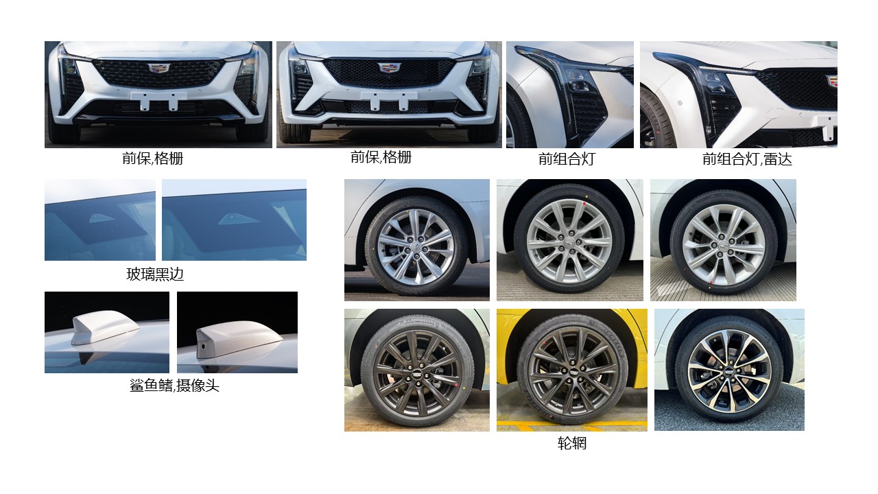 凯迪拉克牌SGM7201ABB1轿车公告图片