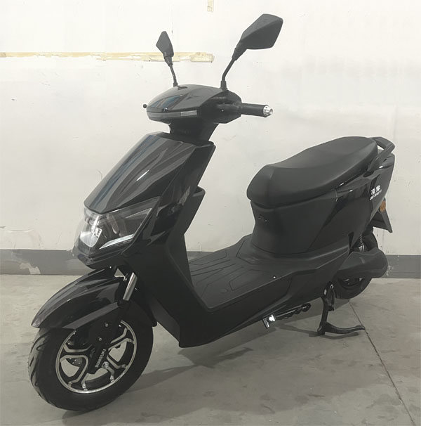 凌摩牌LM1200DT-7电动两轮摩托车图片