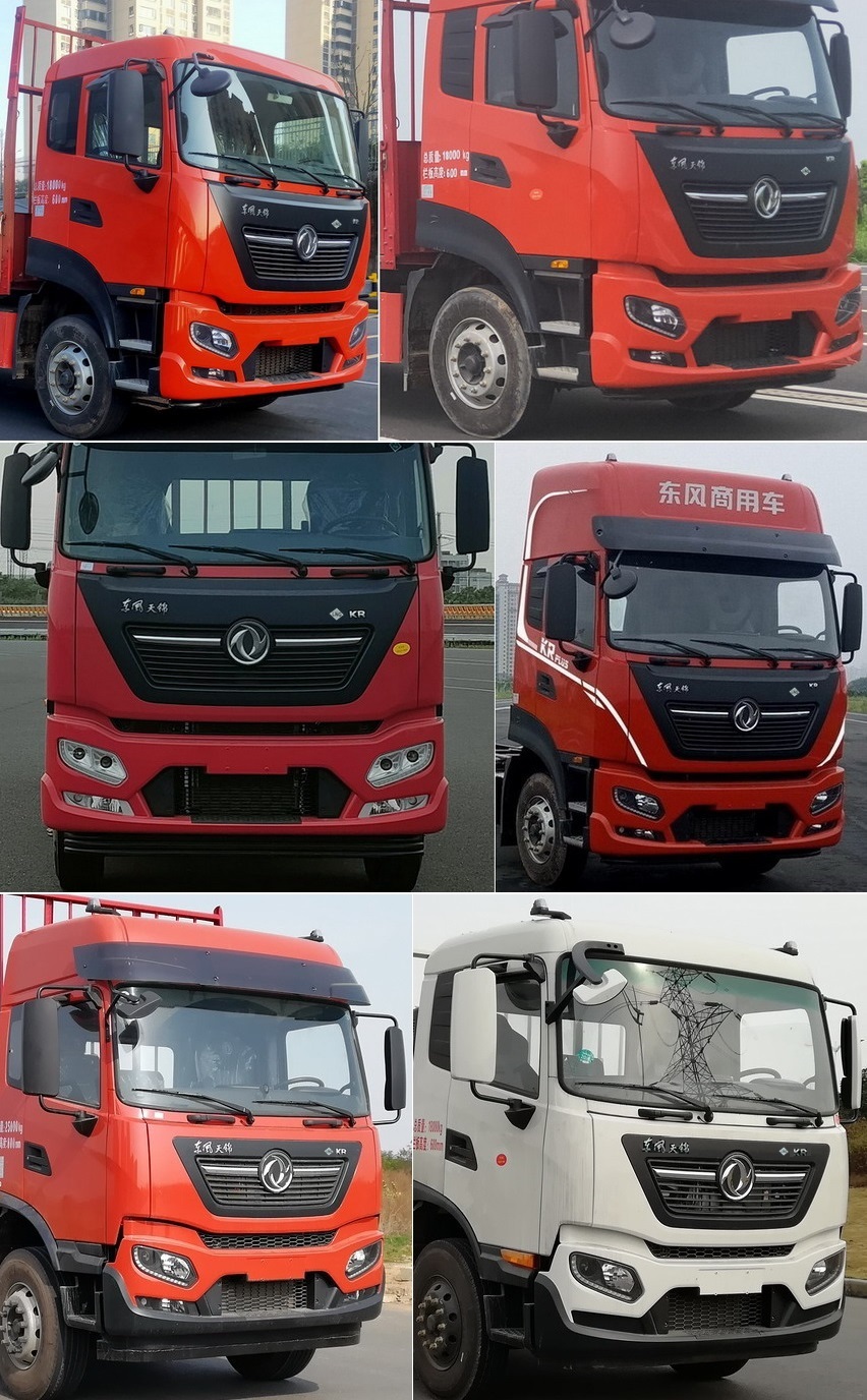 DFH1180E26 东风牌279马力单桥LNG6.8米国六载货汽车图片