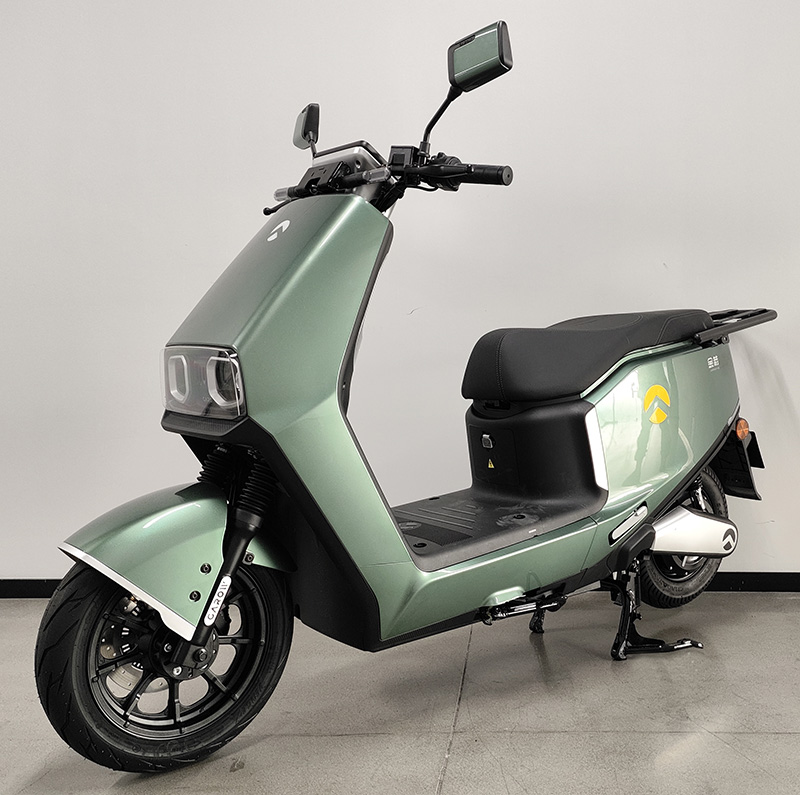 金箭牌JJ3000DT-9C电动两轮摩托车公告图片