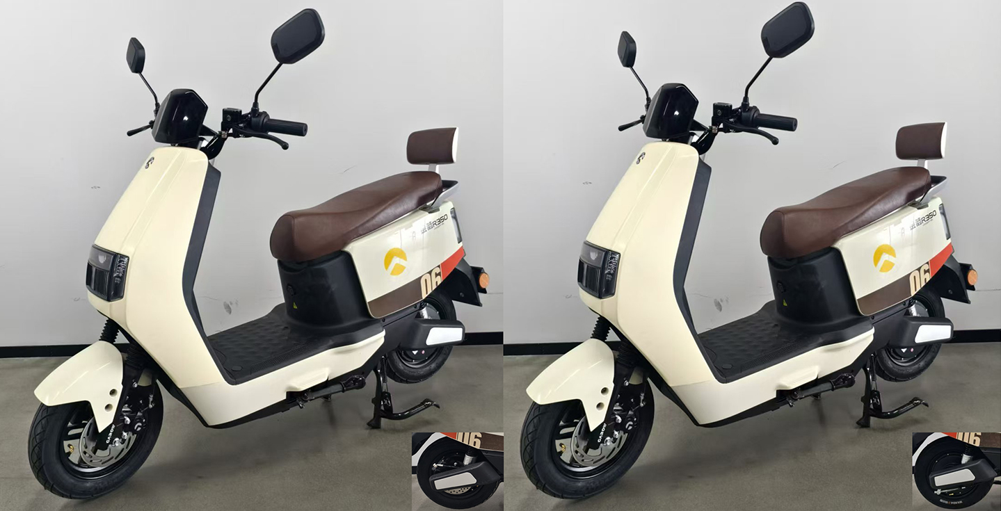 金箭牌JJ1200DT-52电动两轮摩托车公告图片