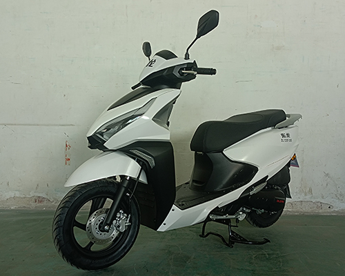 东龙牌DL125T-20S两轮摩托车公告图片