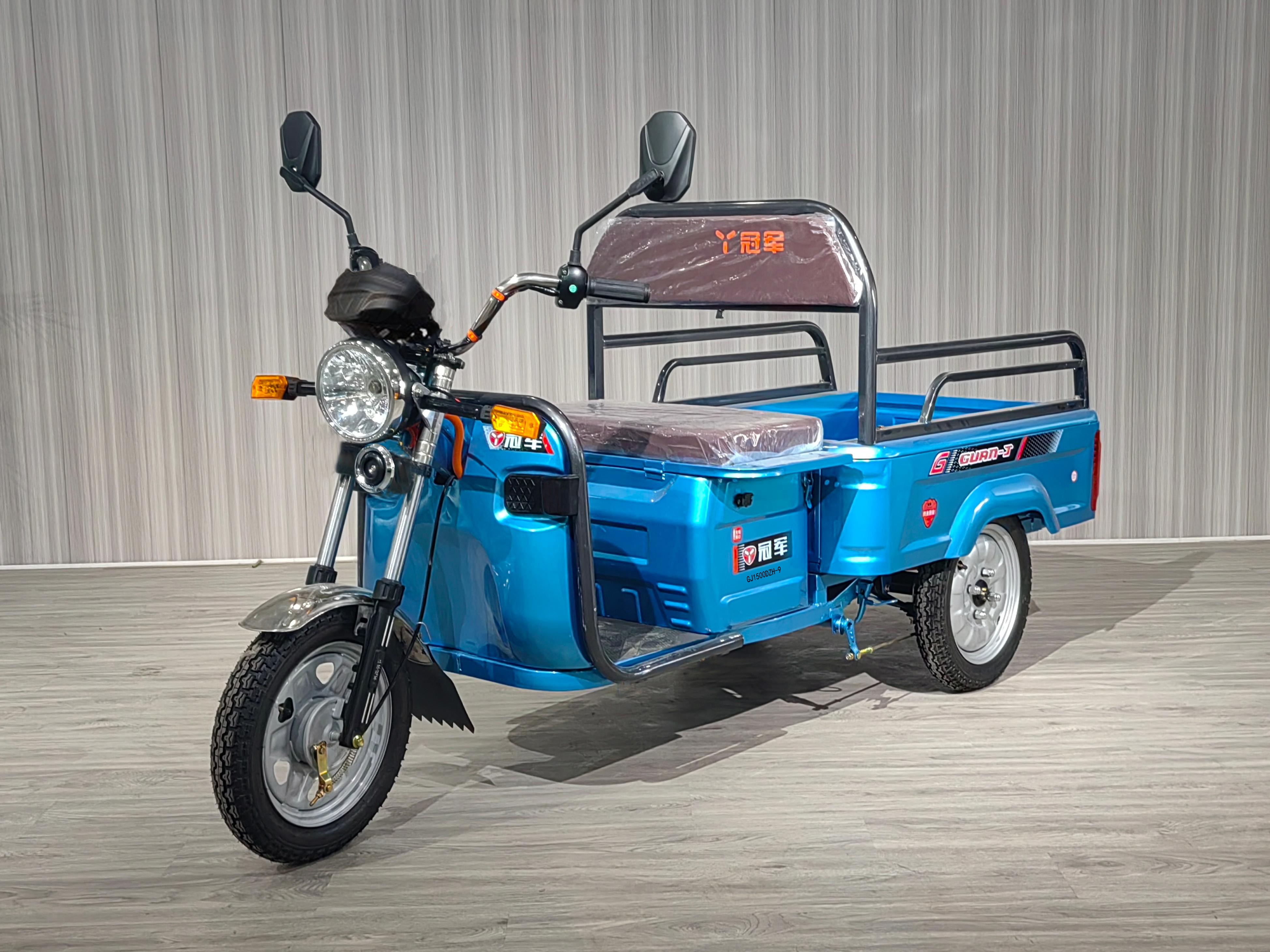 冠军重三牌GJ1500DZH-9电动正三轮摩托车公告图片