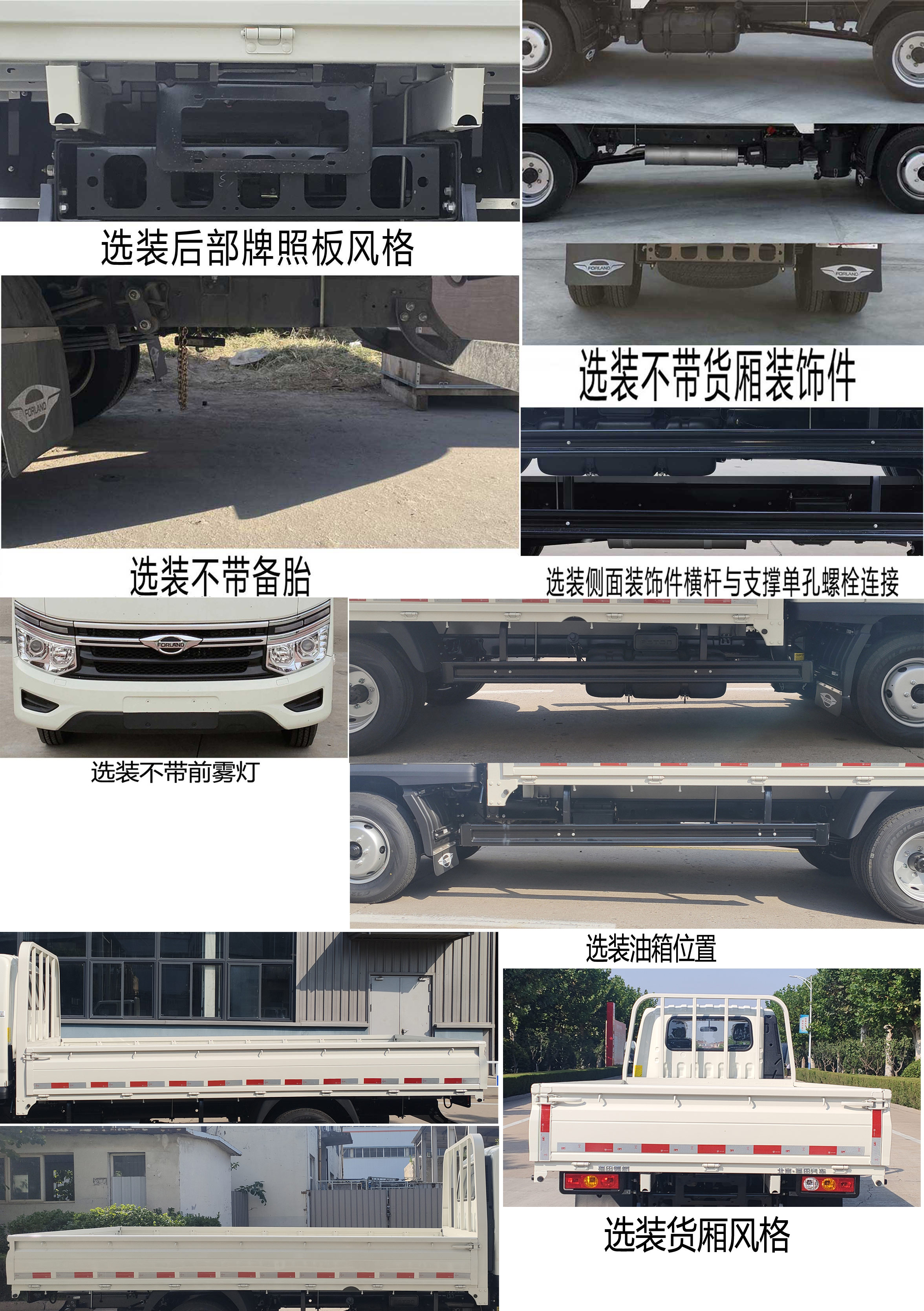 福田牌BJ1035V4PV6-26载货汽车公告图片