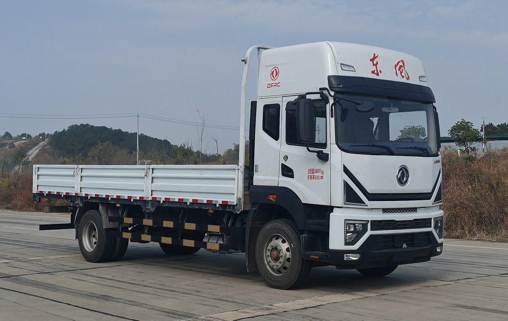 东风牌 239马力 载货汽车(EQ1181L9TDF)