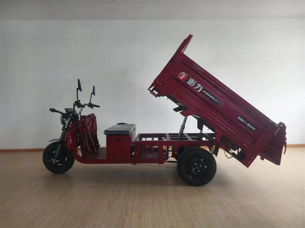 PL1500DZH-A 澎力牌纯电动前鼓式后鼓式电动正三轮摩托车图片