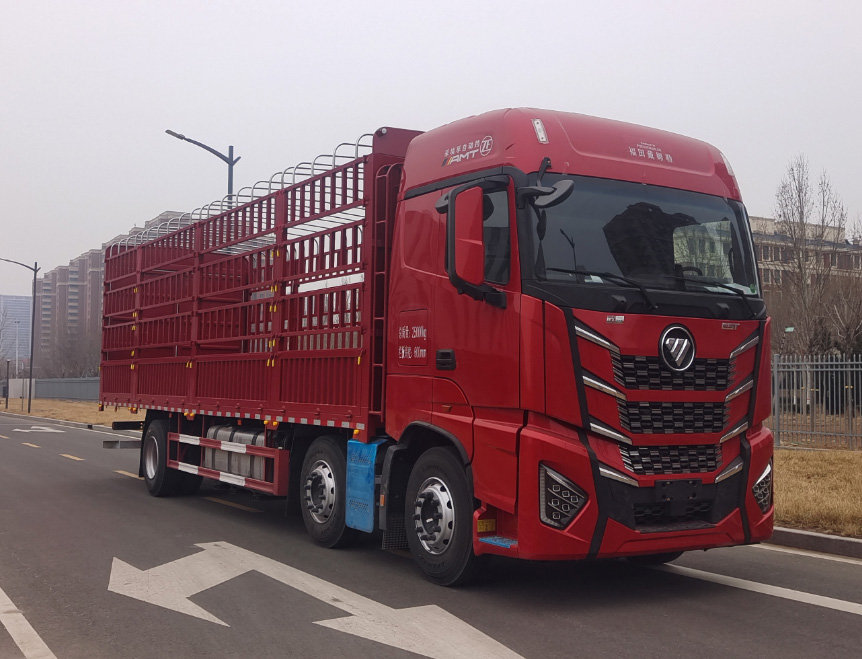 欧曼牌BJ5259CCYY6HPL-08仓栅式运输车公告图片