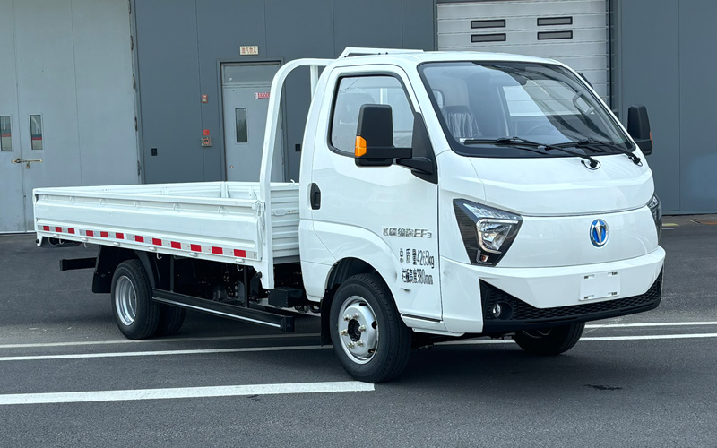 飞碟牌 143马力 纯电动载货汽车(FD1041D66BEV-1)