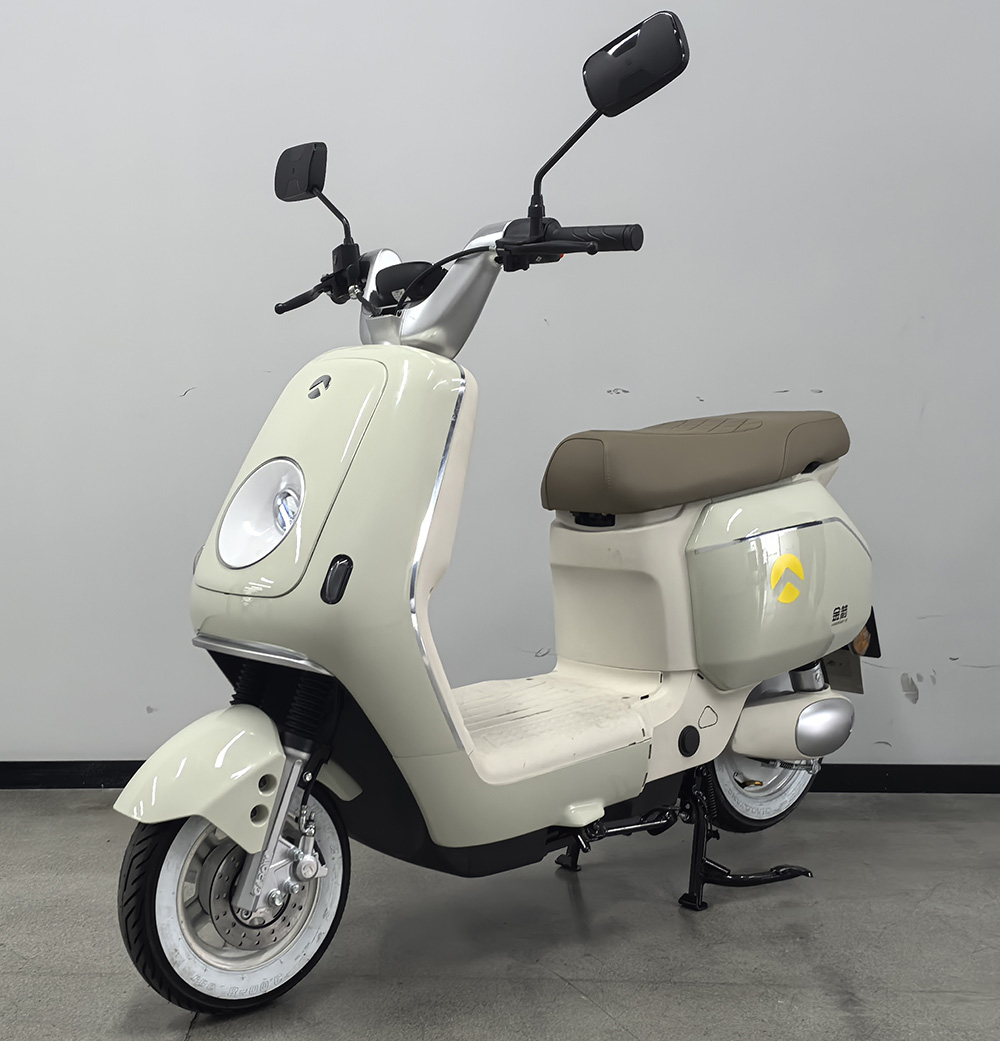 金箭牌JJ1000DQT-71电动两轮轻便摩托车公告图片