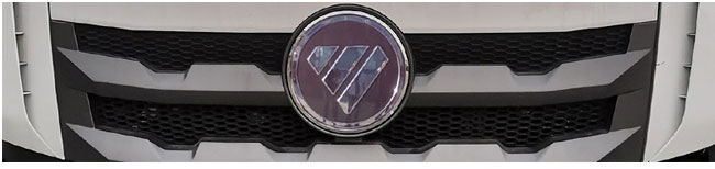 布隆牌LLL5310ZSLB6散裝飼料運輸車公告圖片