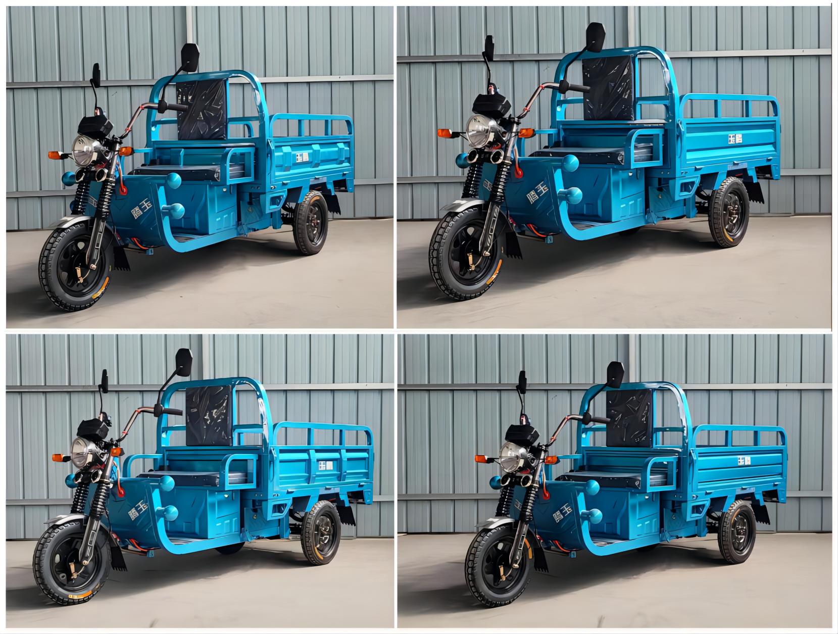 YT1500DZH-15Q 玉腾牌纯电动前鼓式后鼓式电动正三轮摩托车图片