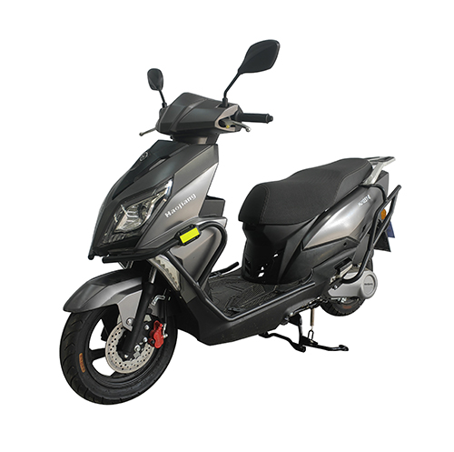 豪江牌HJ125T-6两轮摩托车公告图片