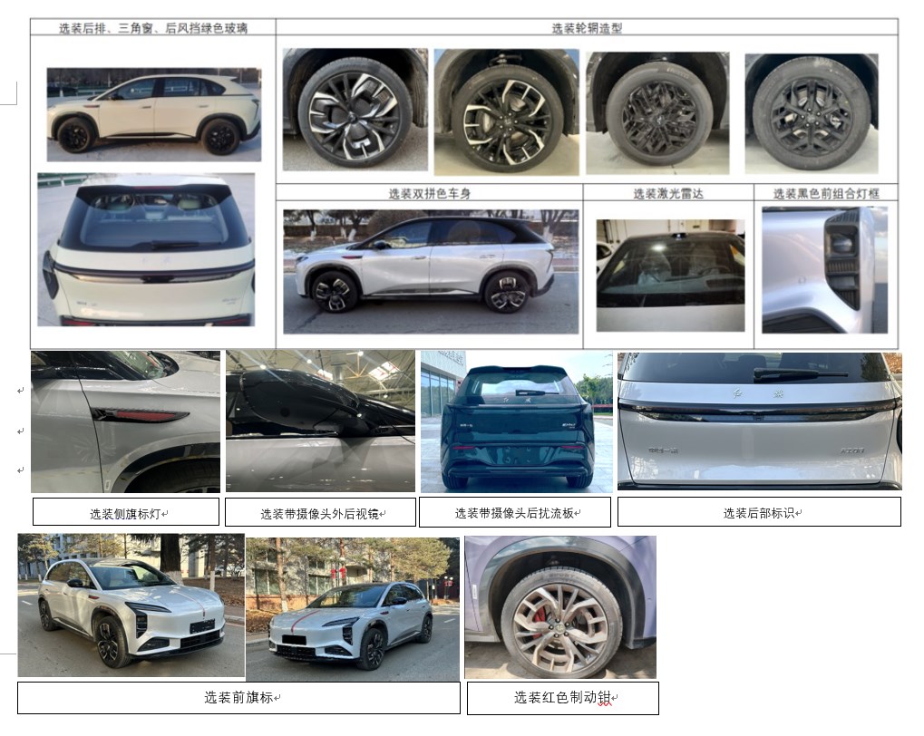 红旗牌CA6490H0EVXA纯电动多用途乘用车公告图片