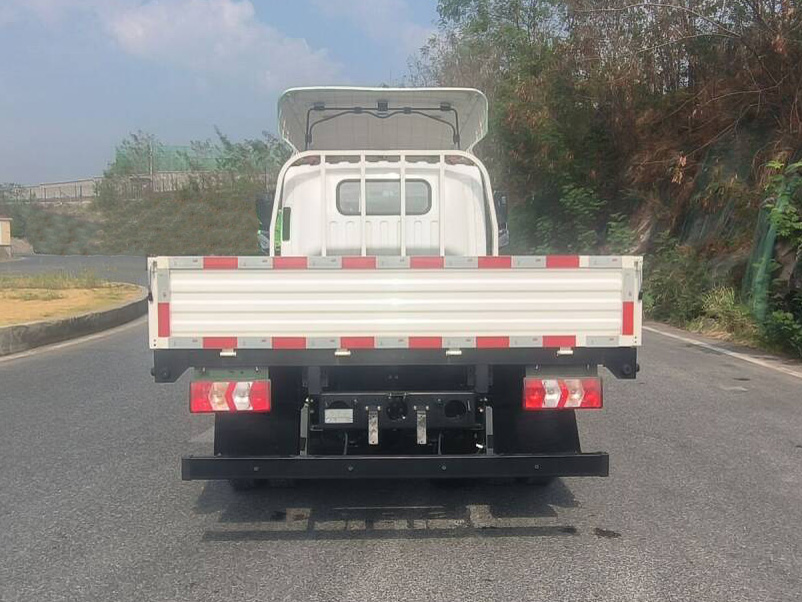 陕汽牌SX1048BEV341N纯电动载货汽车公告图片