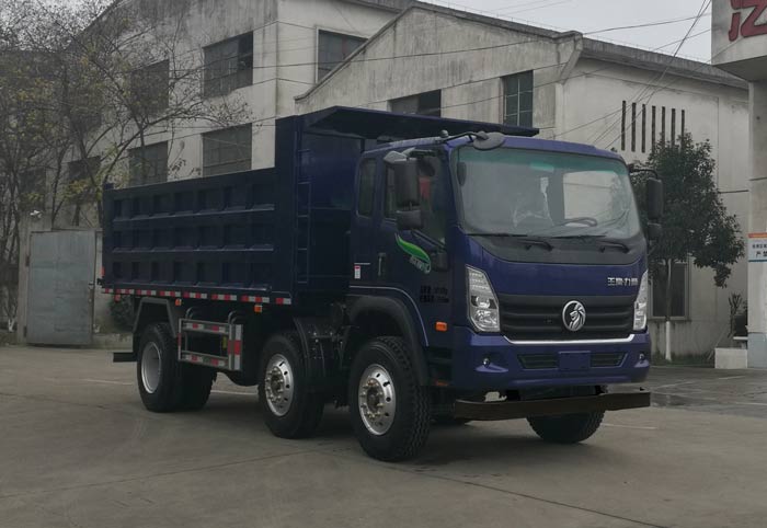 王牌牌 230马力 自卸汽车(CDW3181A1R6B)