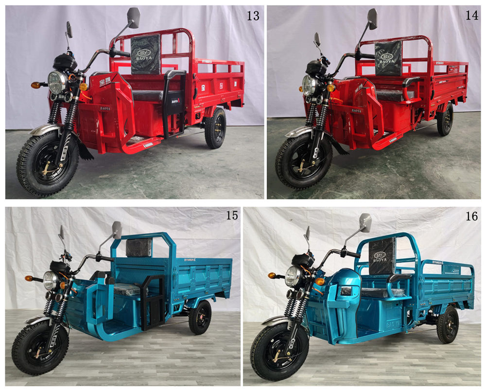 宝雅牌BY1500DZH-6电动正三轮摩托车公告图片
