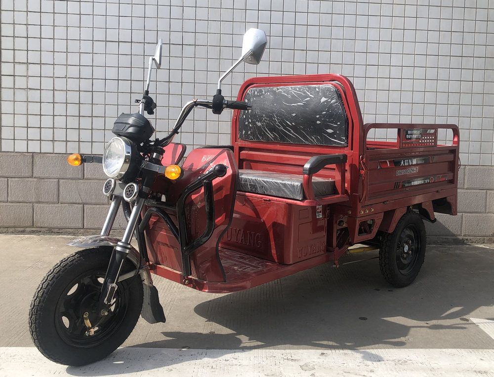 大信牌DX1500DZH-3电动正三轮摩托车图片