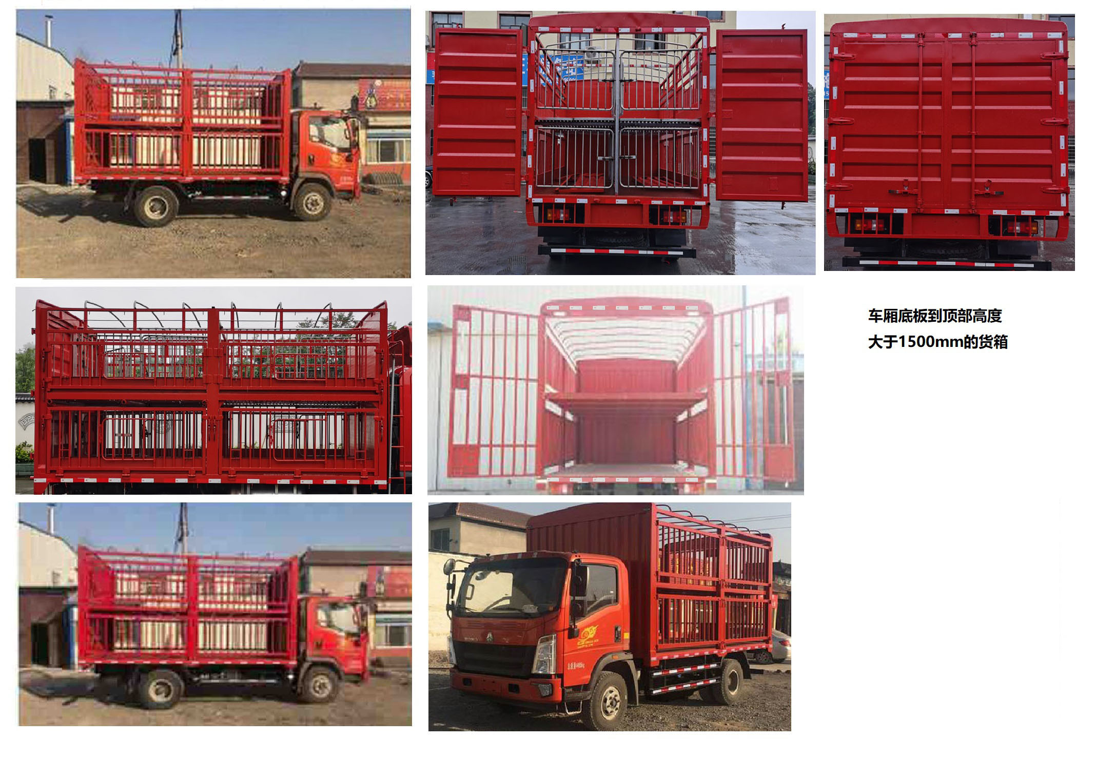 豪沃牌ZZ5047CCQH3315F145畜禽運輸車公告圖片