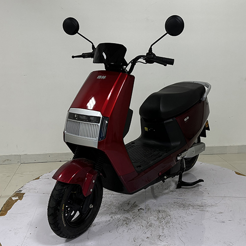 格林牌GL1200DT-9电动两轮摩托车公告图片