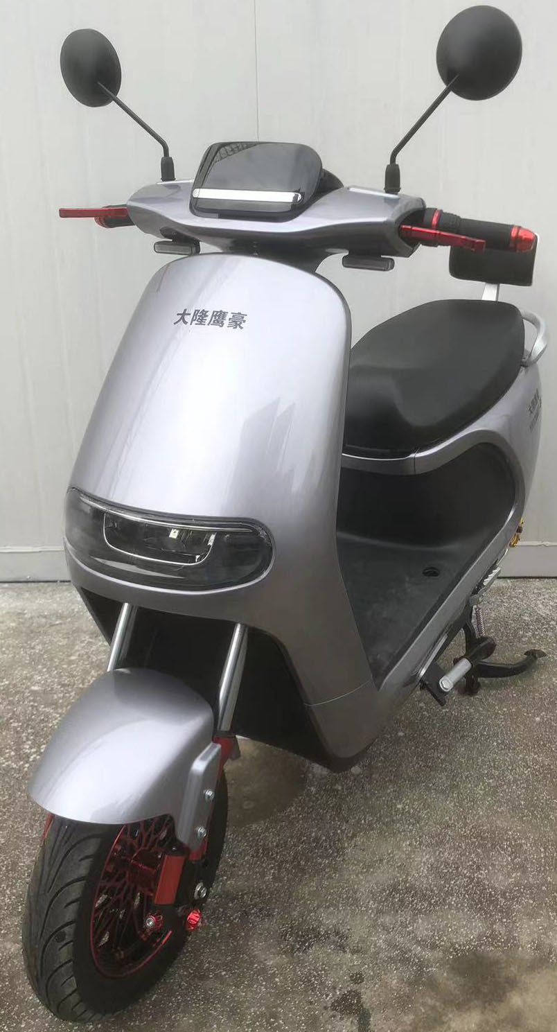 大隆鹰豪牌YH1200DT-8A电动两轮摩托车公告图片