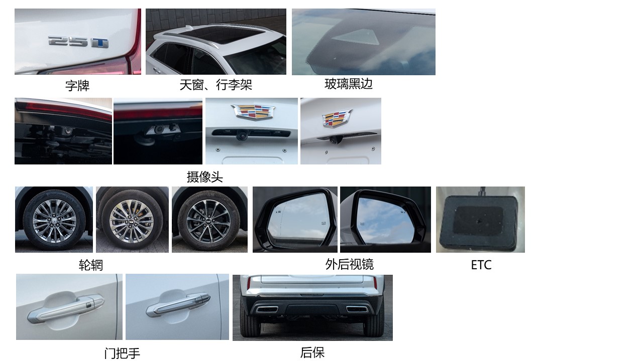 多用途乘用车图片
