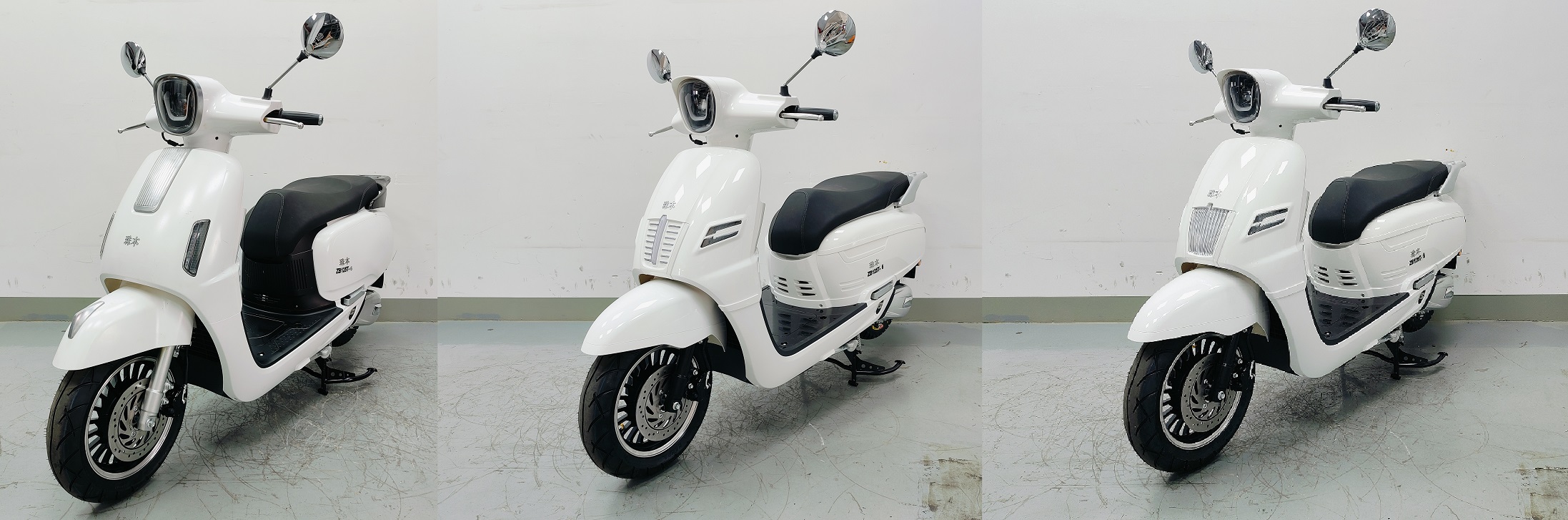 珠本牌ZB125T-6两轮摩托车公告图片