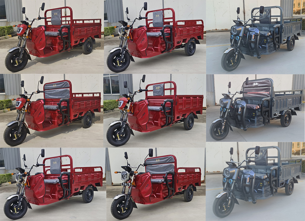 金彭牌JP1000DZH-7F电动正三轮摩托车公告图片