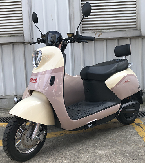 自由动力牌ZY1200DB-C电动边三轮摩托车图片