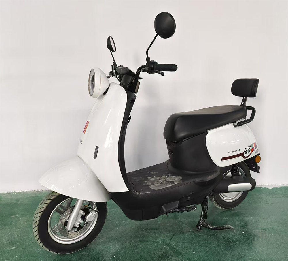 飞野牌FY1200DT-2B电动两轮摩托车公告图片