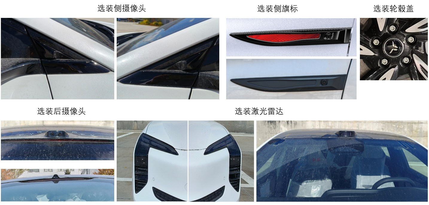 红旗牌CA7001H0EVXD纯电动轿车公告图片