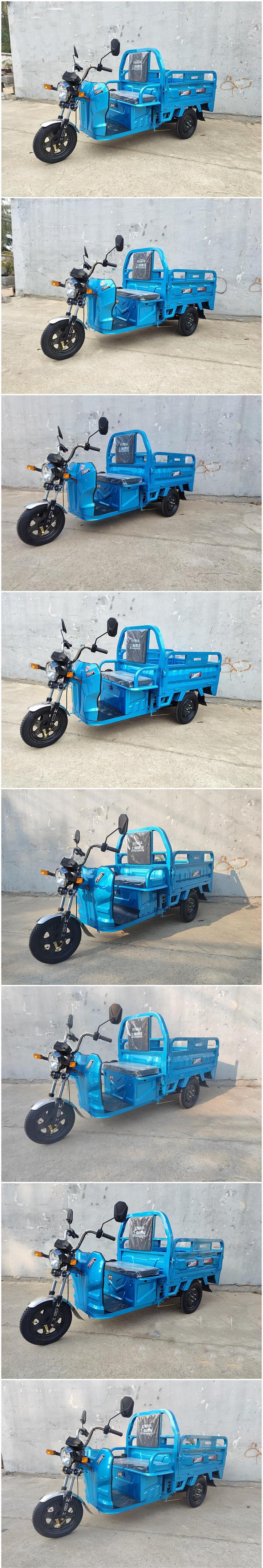 YY1200DZH 一鹰牌纯电动前鼓式后鼓式电动正三轮摩托车图片