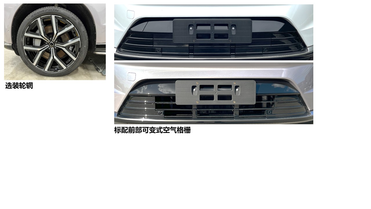 纯电动运动型乘用车图片