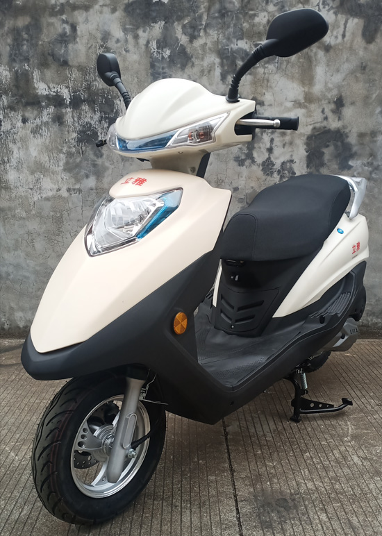 立雅牌LY125T-8D两轮摩托车公告图片