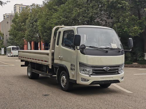 福田牌 122马力 载货汽车(BJ1045V9PB5-24)