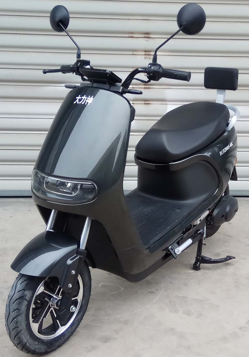 大力神牌DLS1200DT-40C电动两轮摩托车图片