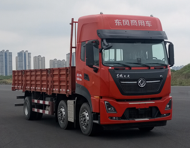 东风牌 299马力 载货汽车(DFH1250D6)