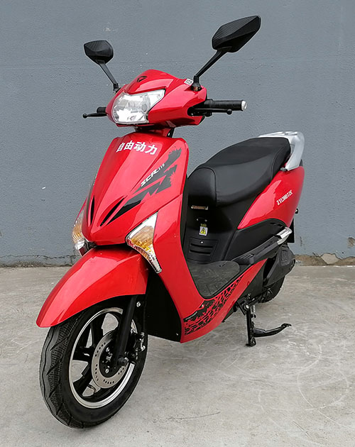 自由动力牌ZY1200DT-15C电动两轮摩托车公告图片